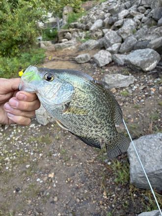 Customer catch photo