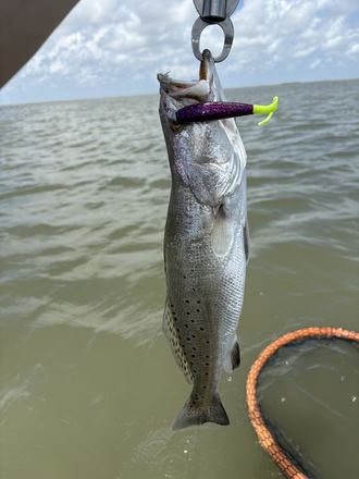 Customer catch photo