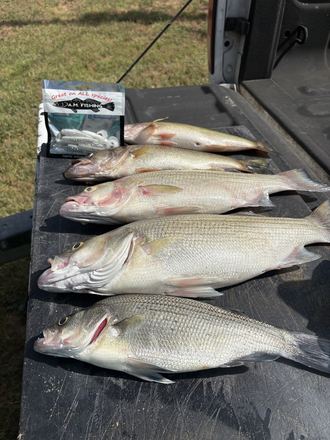 Customer catch photo