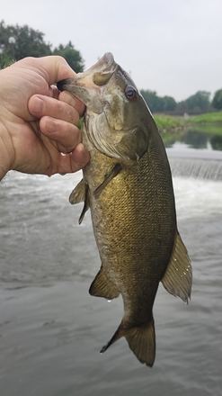 Customer catch photo