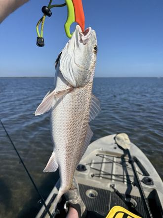 Customer catch photo