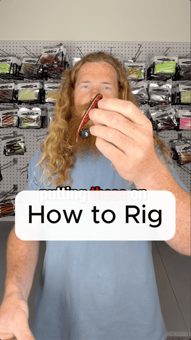 Top 5 – A.M. Fishing Top 5 – A.M. Fishing