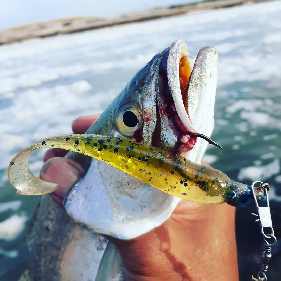 Baby Trout – A.M. Fishing