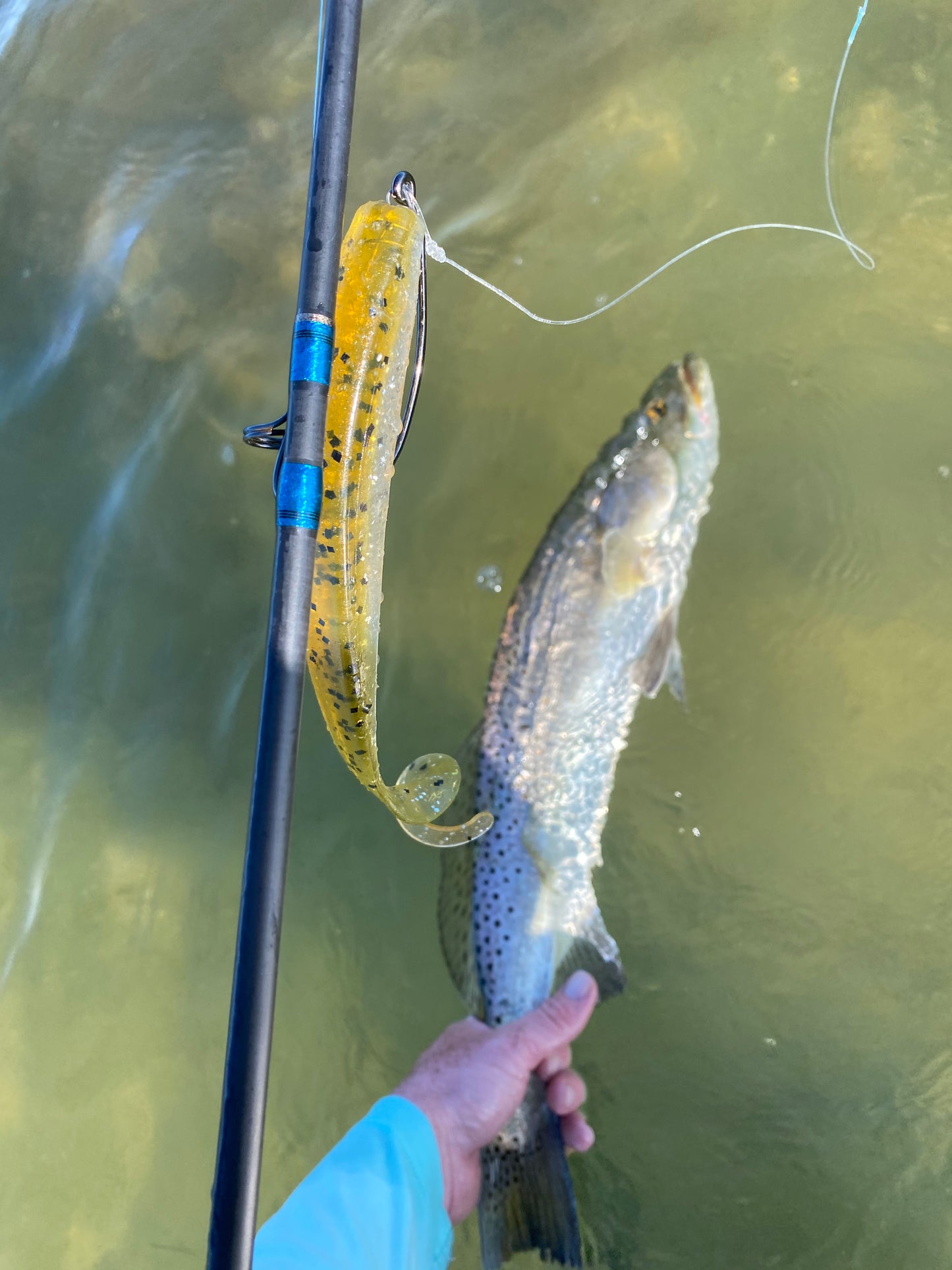 7” Baby Trout