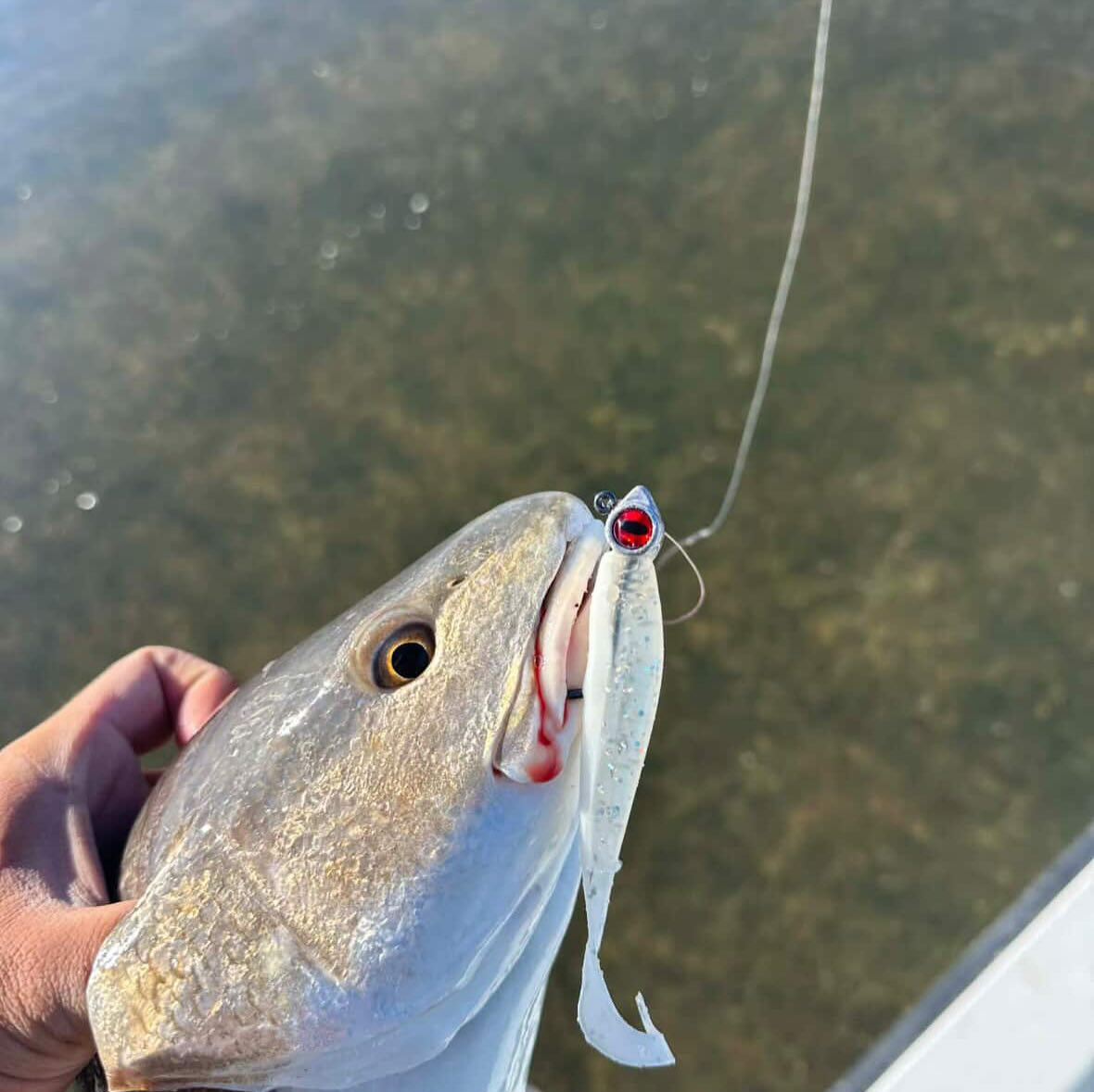 Mansfield Magic – A.M. Fishing