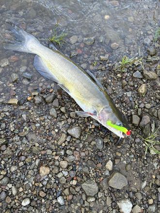 Customer catch photo