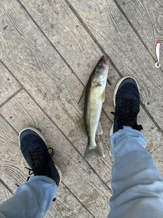 Customer catch photo