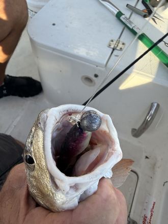 Customer catch photo
