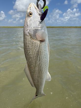 Customer catch photo