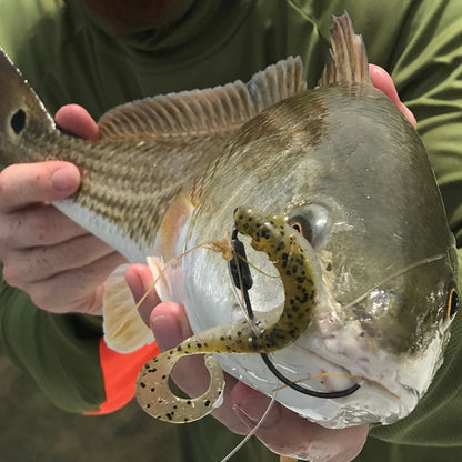 Baby Trout