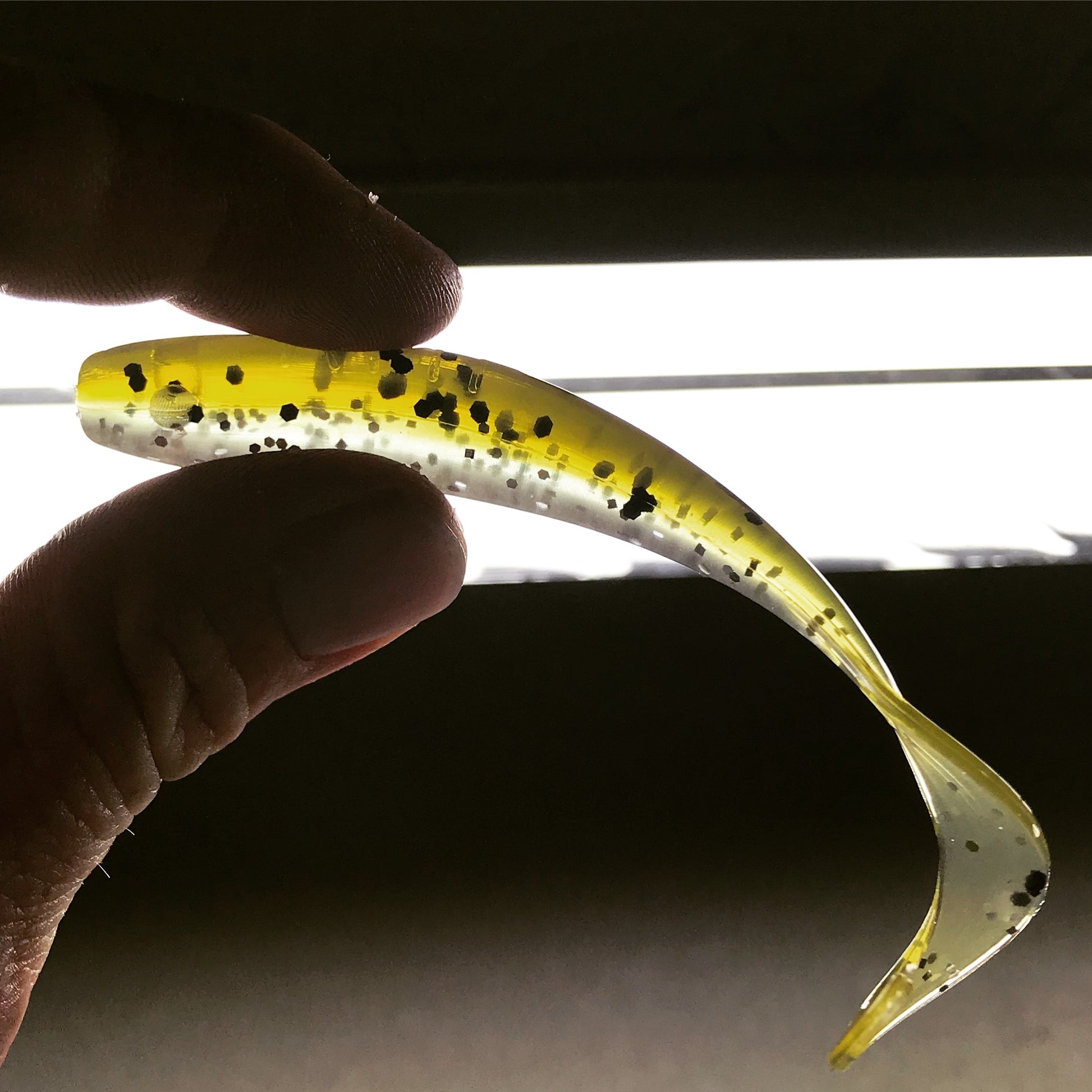 Baby Trout – A.M. Fishing Baby Trout – A.M. Fishing