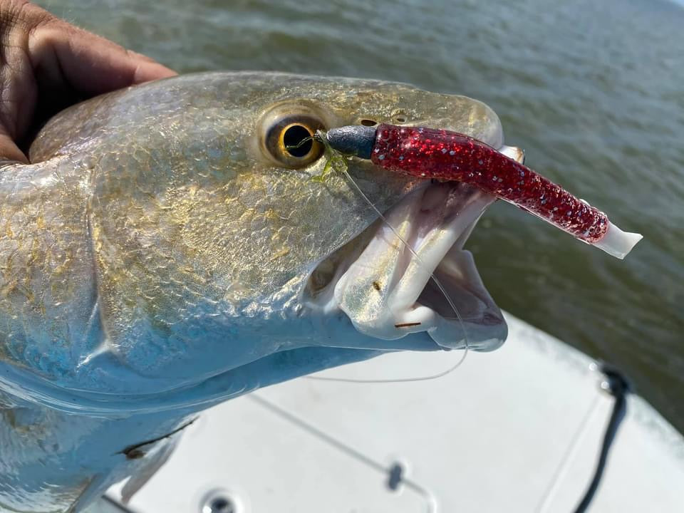 Speckled Trout Best Type Of Rod For Trout Fishing Brown Trout